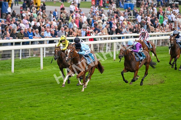 080925-Race 6-Rhapsody-7766 - Race 6 5.00pm Sky Bet Build A Bet Fillies' Handicap