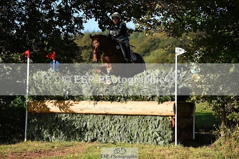 231022-103502-25483 - 213-MGH.HILDARE.HARLEQUIN-Danielle.Mccormack-XC