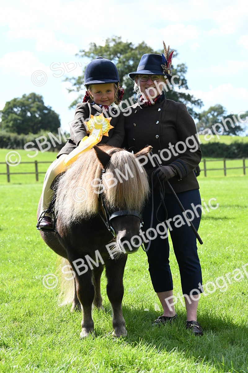 SBM_42650 - S20 - Lead Rein Mountain & Moorland Pony