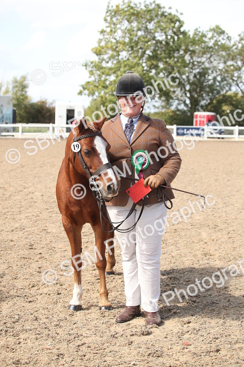 SBM_23166 - Class 606 - 2026 - Area - IH Pre Vet