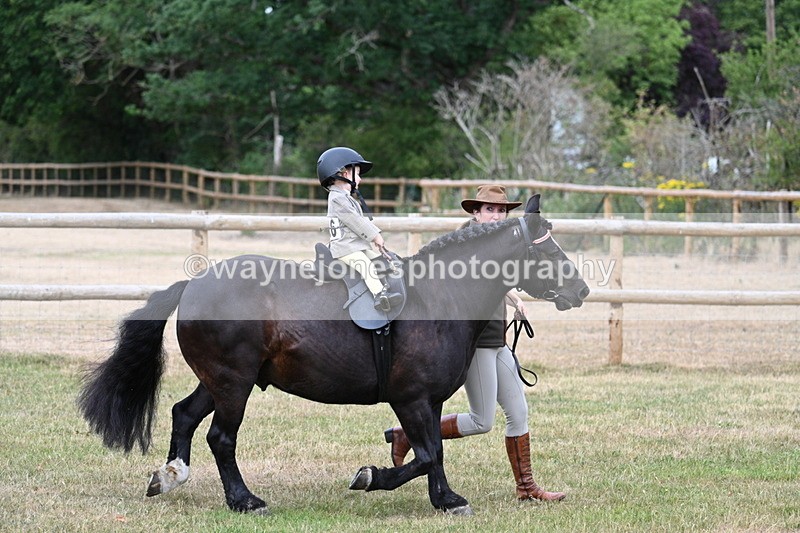 WJ7_9677 - Class 1 Lead Rein Pony