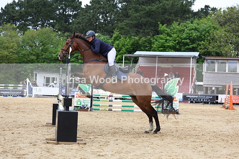 3E7A6313 - Class 4: Senior British Novice/90cm open