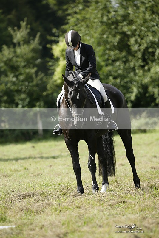 BVRC 120921 380 - Bourne Valley Riding Club UA Dressage & Show Jumping 12/09/21