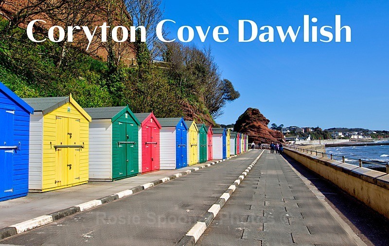 New 2026 Coryton Cove - FRIDGE MAGNETS