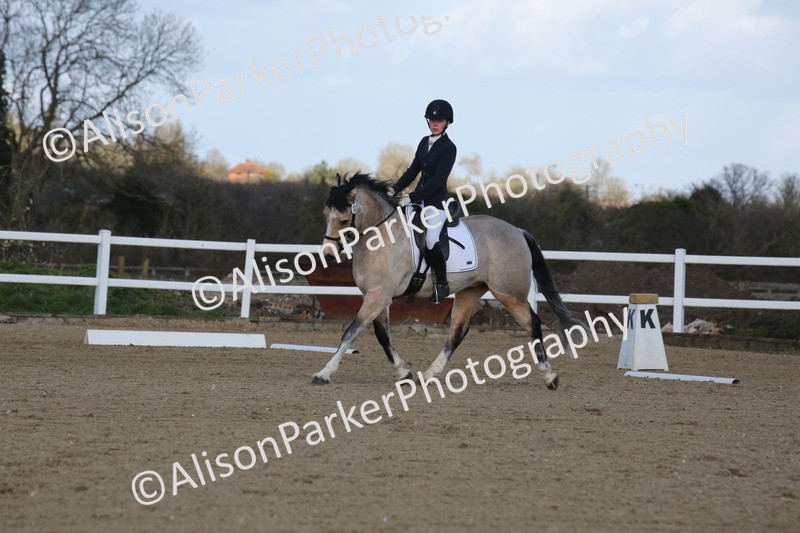 20260314-5190 - DR6 - Novice 2