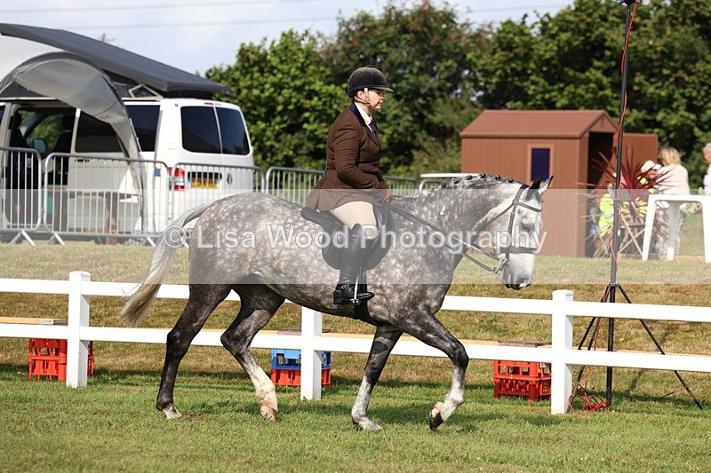 3E7A8500 - Class 3: Rising Star S/L Hunter