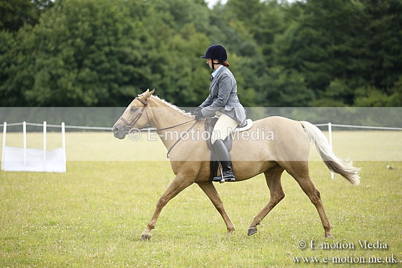 BVR160717-289 - Ring 1 BVRC Show 16/07/17