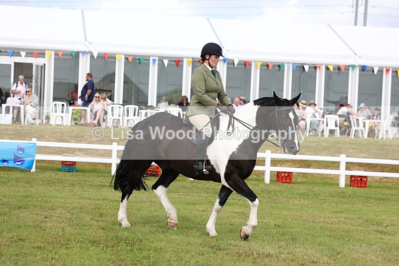 3E7A0321 - Class 6: Rising Star Maxi Cobs