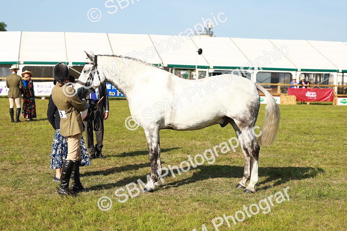 SBM_10810 - Class 66-69 - RIHS Ridden Hunters Inc Small Hunter