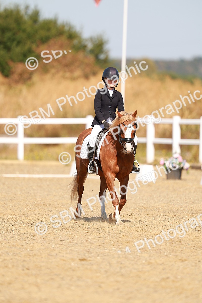 SBM_017553 - Class 9 - N5 Bronze 10.33.11.36