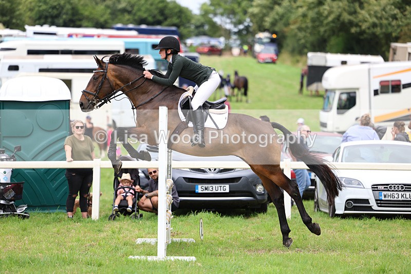 3E7A7287 - Class 5: Senior British Novice/90cm open