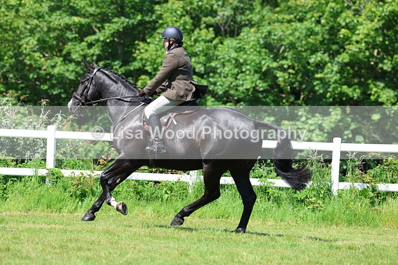 3E7A7022 - Class 30: Novice Working Hunter