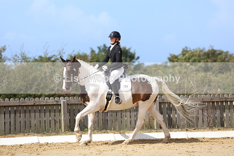 3E7A4149 - Class 9: Novice 6 Section B Championship