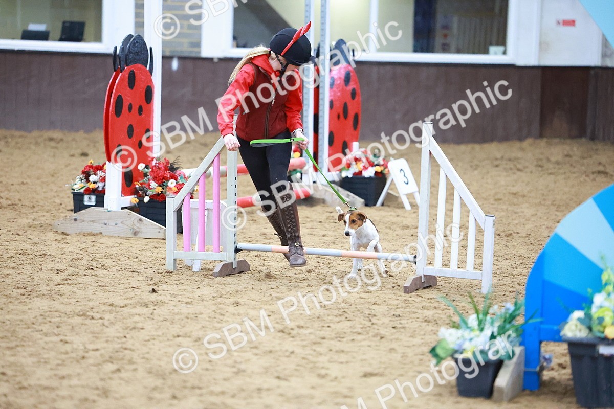 SBM_002103 - Class 3 - Horse & Hound (60cm)