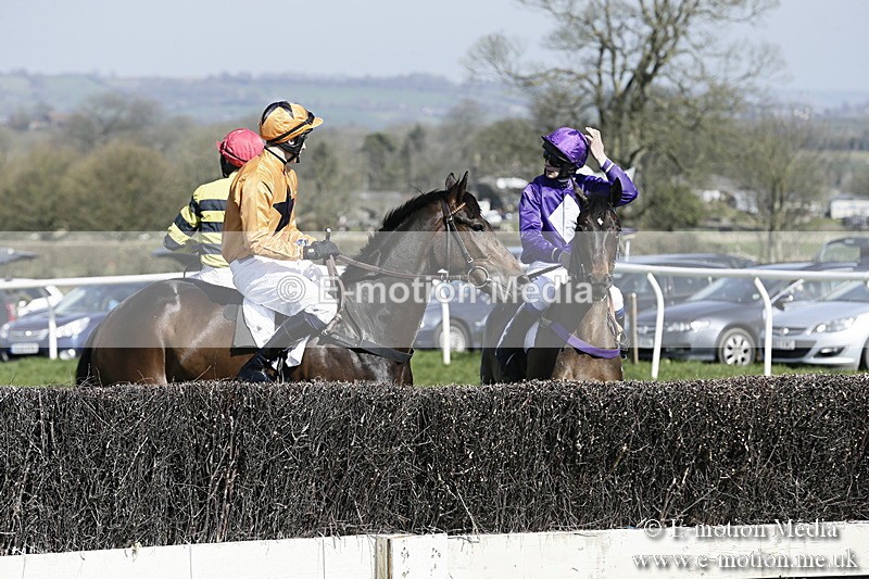 PtP 260317 27 - Mendip Farmers Point-to-Point Ston Easton 26/03/17