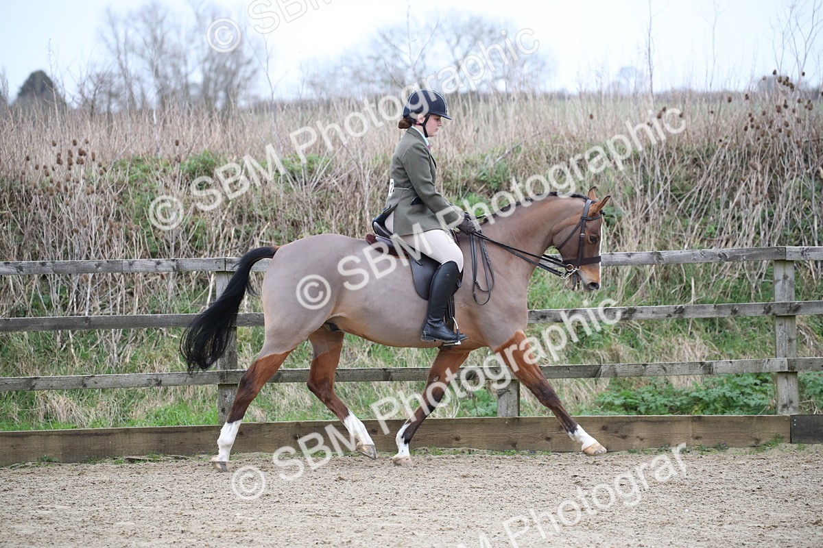 SBM_004642 - Class 5-9 - NPS In Hand-Show Hunter-Intermediate Ridden Inc Ridden Championship
