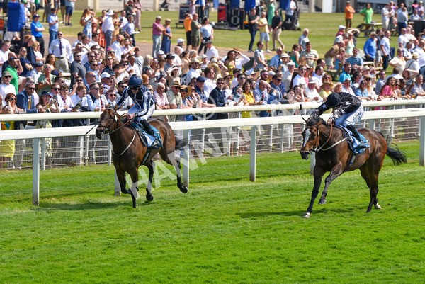 160623-Race 3-Radio Goo Goo-6225 - Race 3 3.00pm British EBF Supporting Racing With Pride Fillies' Handicap