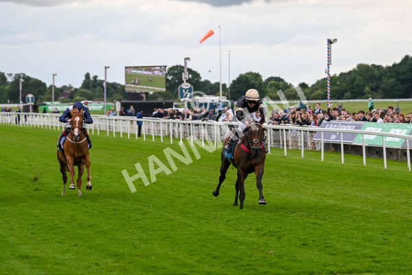 140624-Race 3-Alfa Kellenic-4308 - Race 3 3.00pm British EBF Supporting Racing With Pride Fillies' Handicap