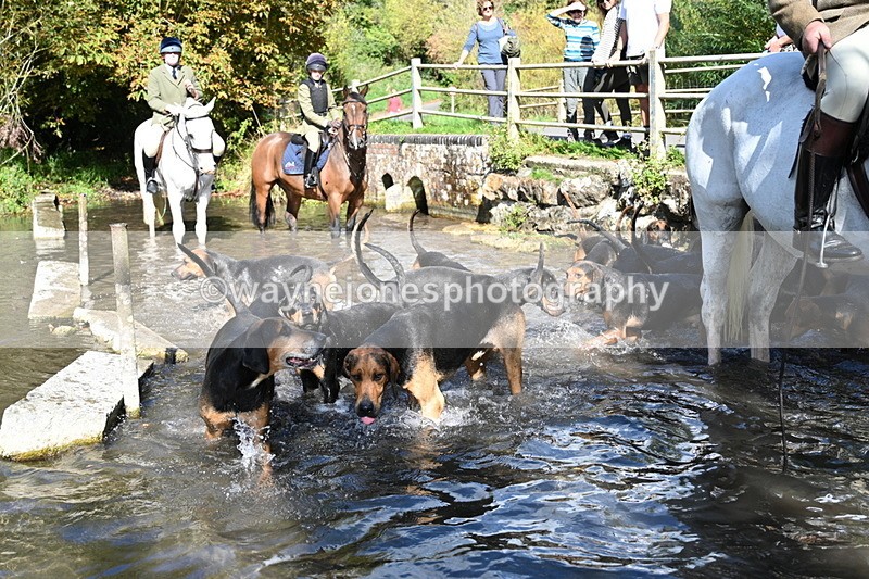 WJ7_6003 - Hounds Water Crossing