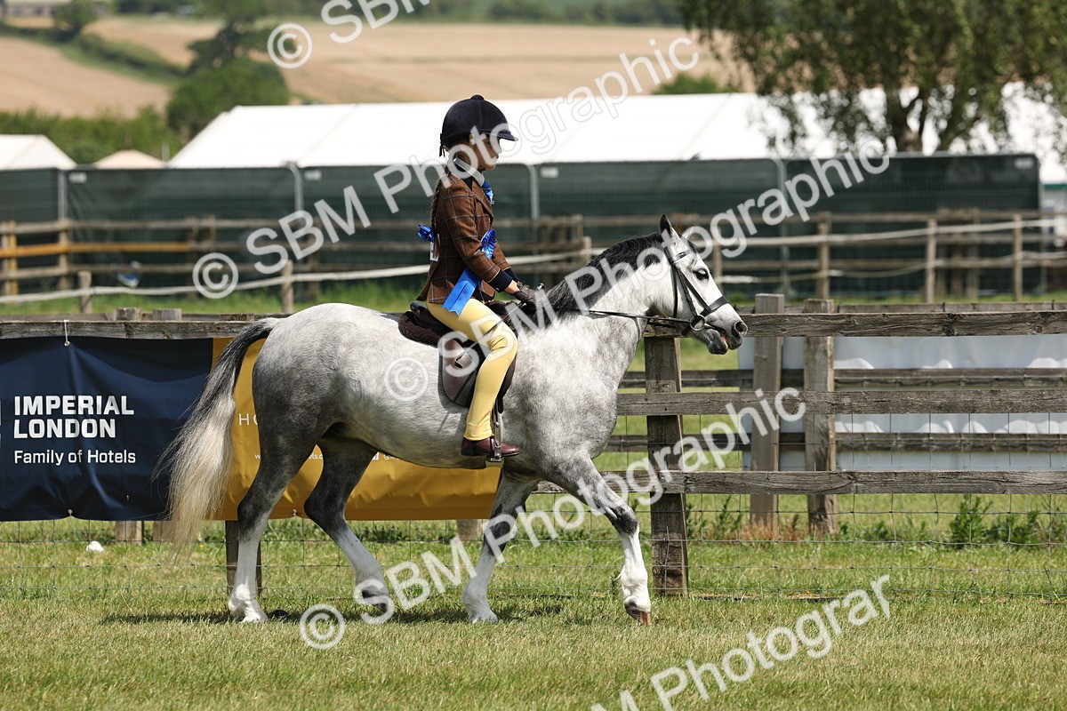 SBM_05390 - Class 24-25 - Mountain & Moorland In Hand Lead Rein and First Ridden