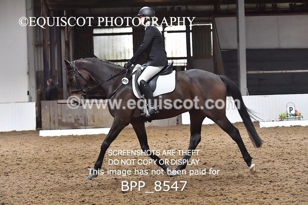 BPP_8547 - NOVICE 4 BD