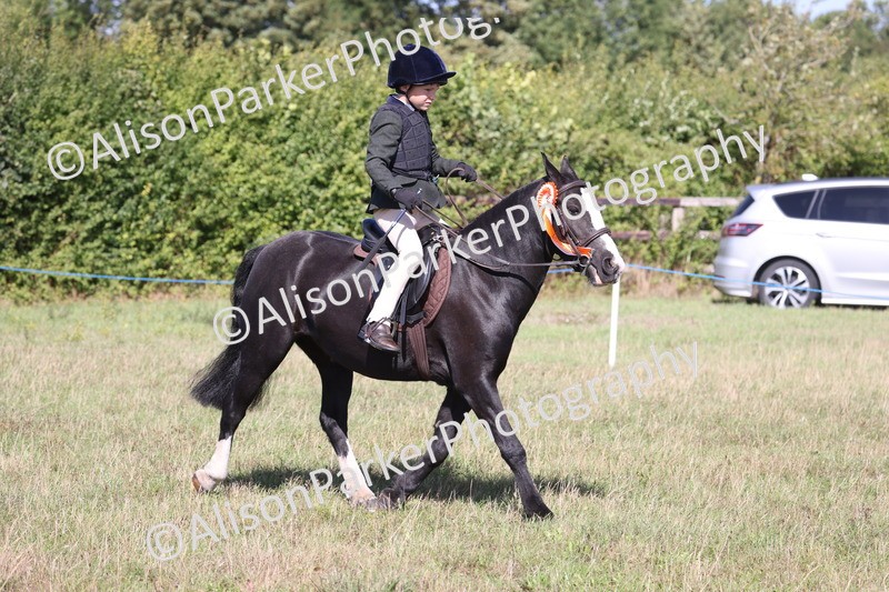 20260906-2363 - Class 16 - Family Pony