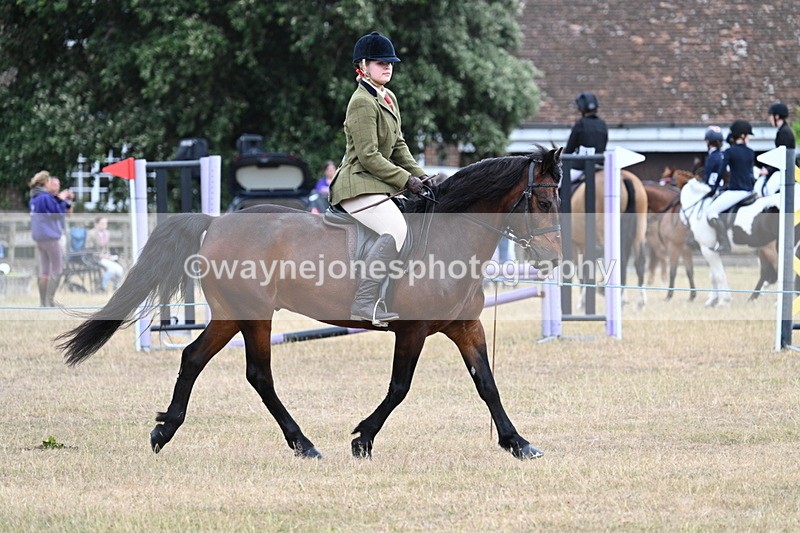 WJ7_0601 - Class 6 Ridden Mountain and Moorland