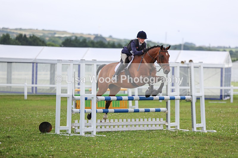 3E7A7310 - Class 7: PC90cm Regional Championship Qualifier Rnd 2 (B)