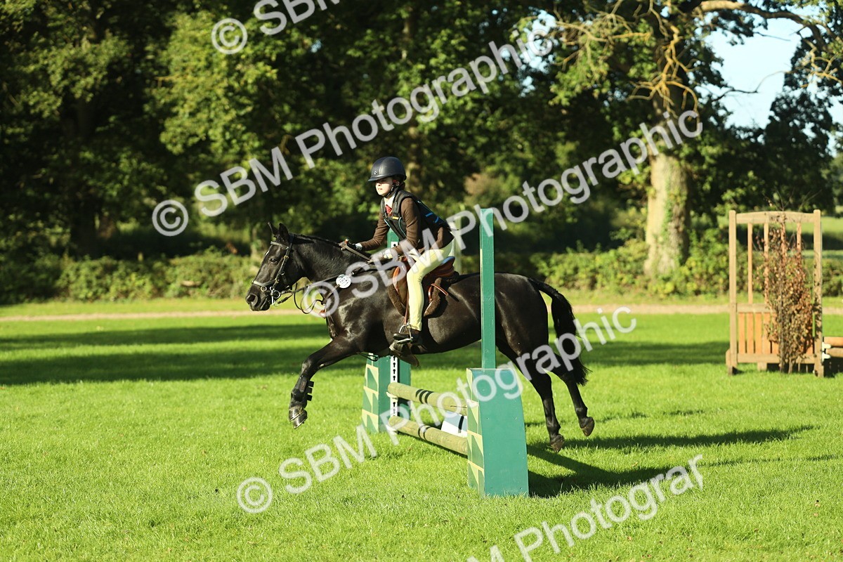 SBM_36321 - S29 - Novice & Newcomers Working Hunter Pony