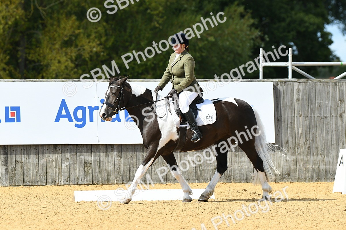 SBM_06380 - D15 Small Tour Championship Novice 24