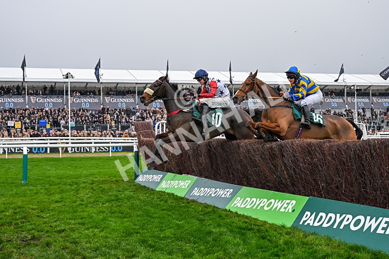 151125-Race 2-Hung Jury-2834 - Race 2
