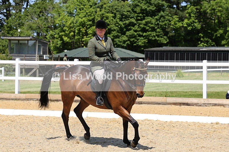 1X9A1797 - Class 12: Ridden Riding Horse/Hack