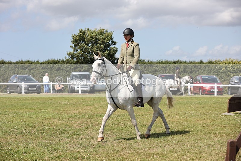 JPP_2307 - Class 19: Working Hunter 60cm