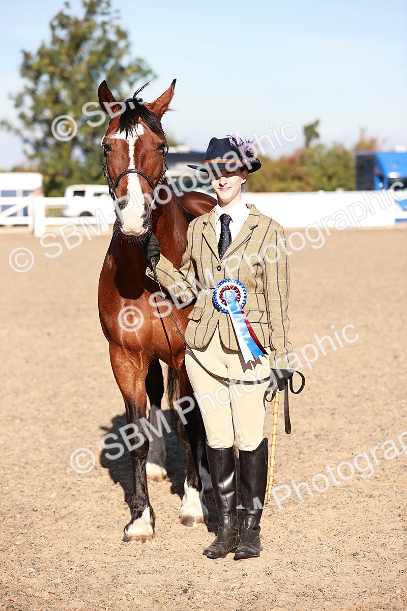 SBM_11462 - Class 402 - IH  Veteran pony