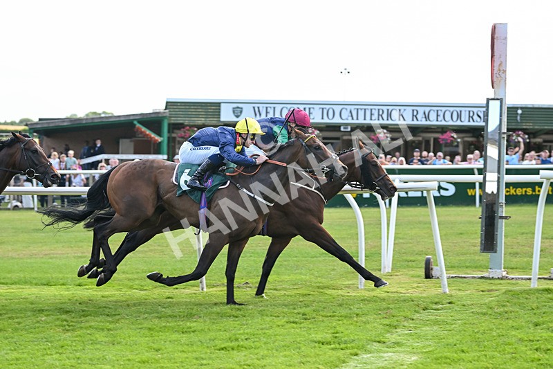 160725-Race 5-Chuti Manika-9310 - Race 5
