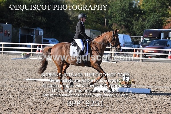 BPP_9251 - LONG ARENA