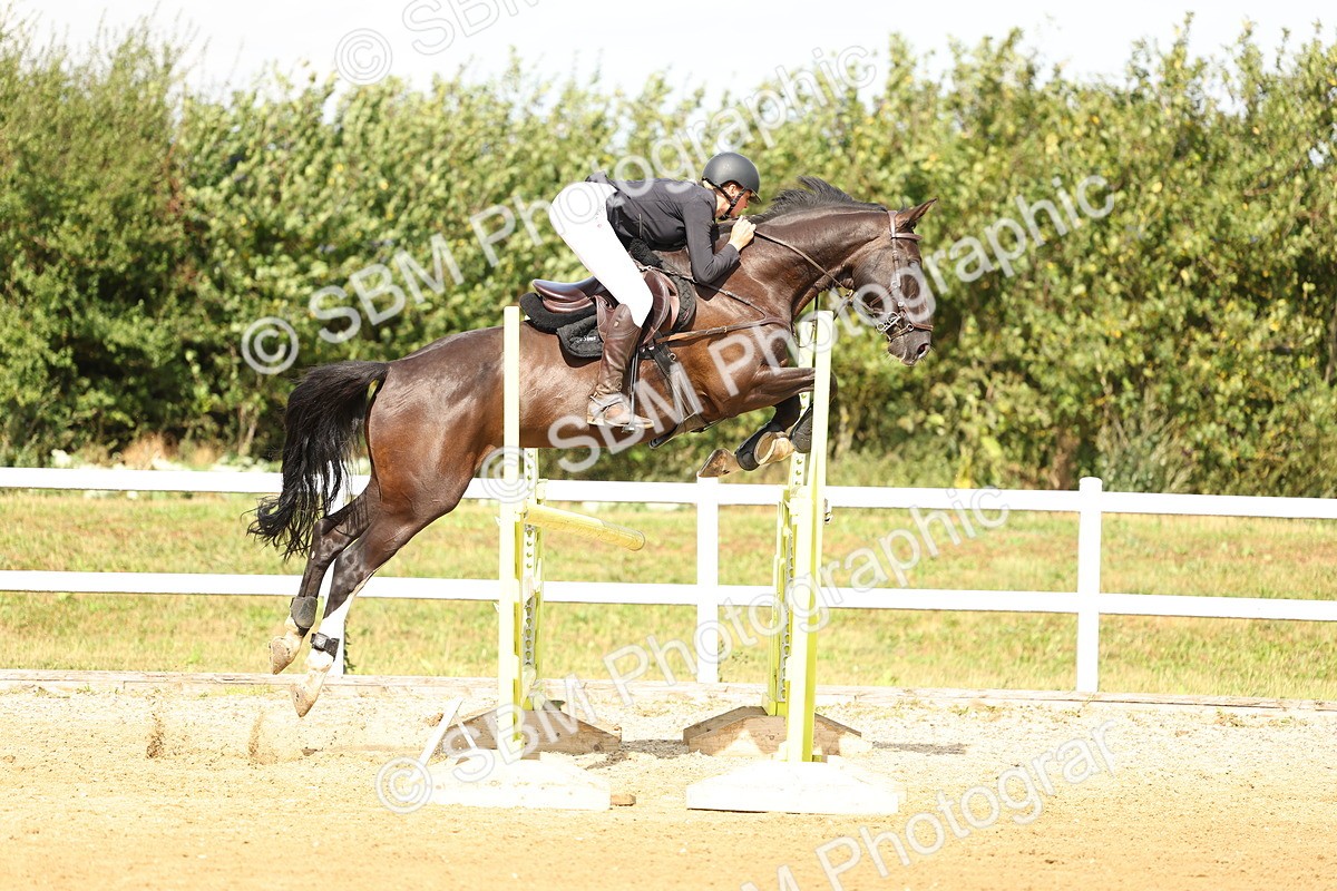 SBM_010490 - Class 4 - Senior Foxhunter - 1.20m Open