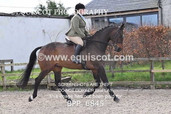 BPP_6845 - RING 1  (RIDDEN HORSES / IN HAND / VETERAN ETC)