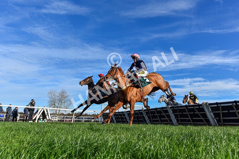 211125-Race 3-Heather Honey-3191 - Race 3