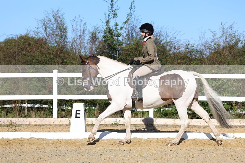 3E7A5275 - Class 8: Small Ridden Hunter