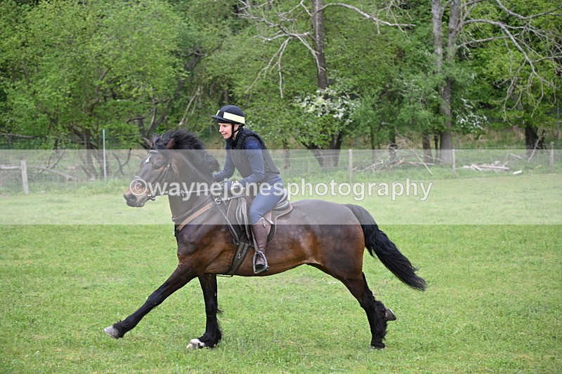 WJ6_2701 - A camera
