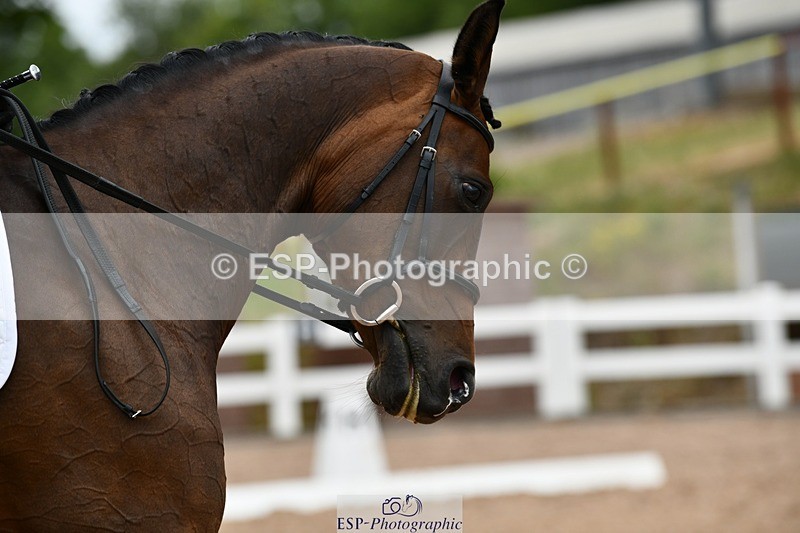 250705-160050-05370 - E1 Section BDE1 16.02 to  to 16.58