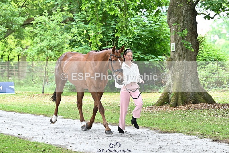 250521A-144641-00226 - A-056-Ivy.Fisher-BALIEF.DE.REVE