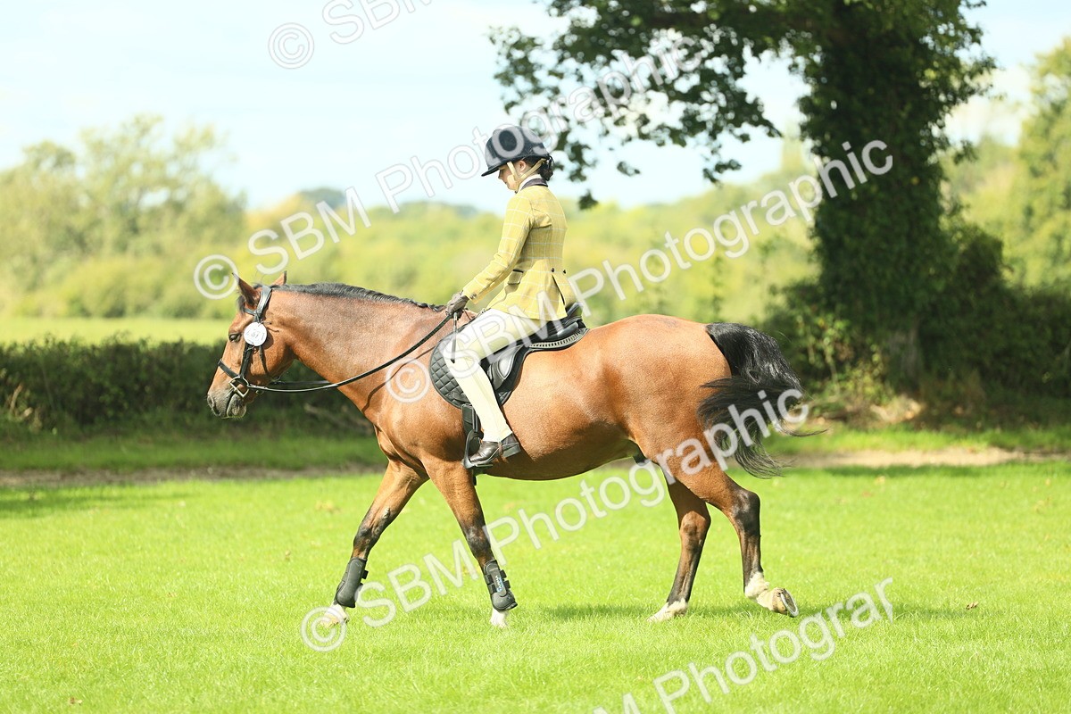 SBM_42123 - S29 - Novice & Newcomers Working Hunter Pony