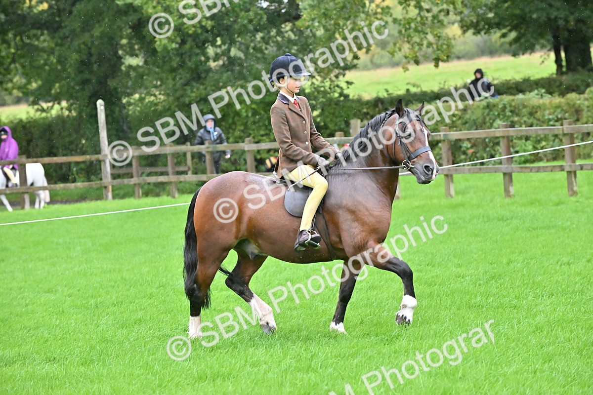 SBM_35735 - S16 - Top Turnout - Ridden