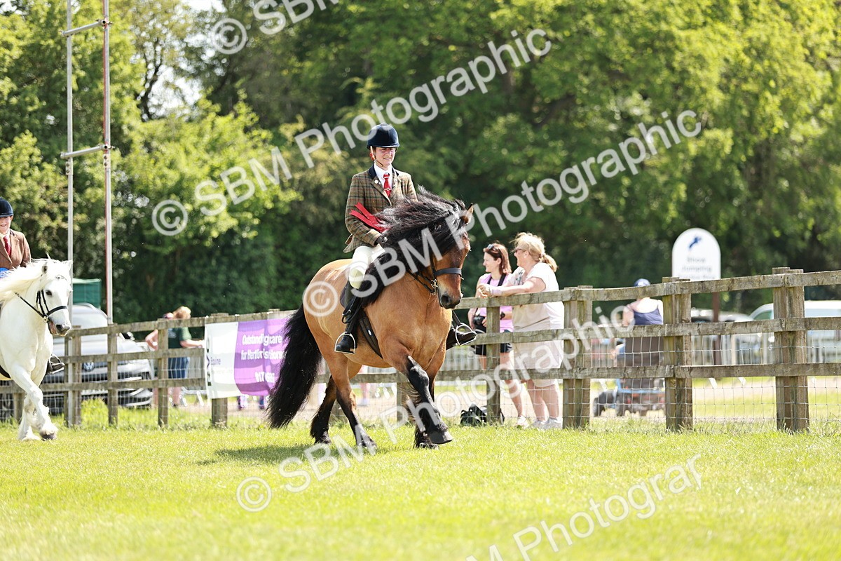 SBM_07218 - Class 26-30 - Mountain and Moorland Ridden