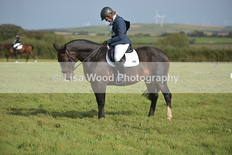 RAY_7826 - Class 2B: Trekenning Open: Dressage
