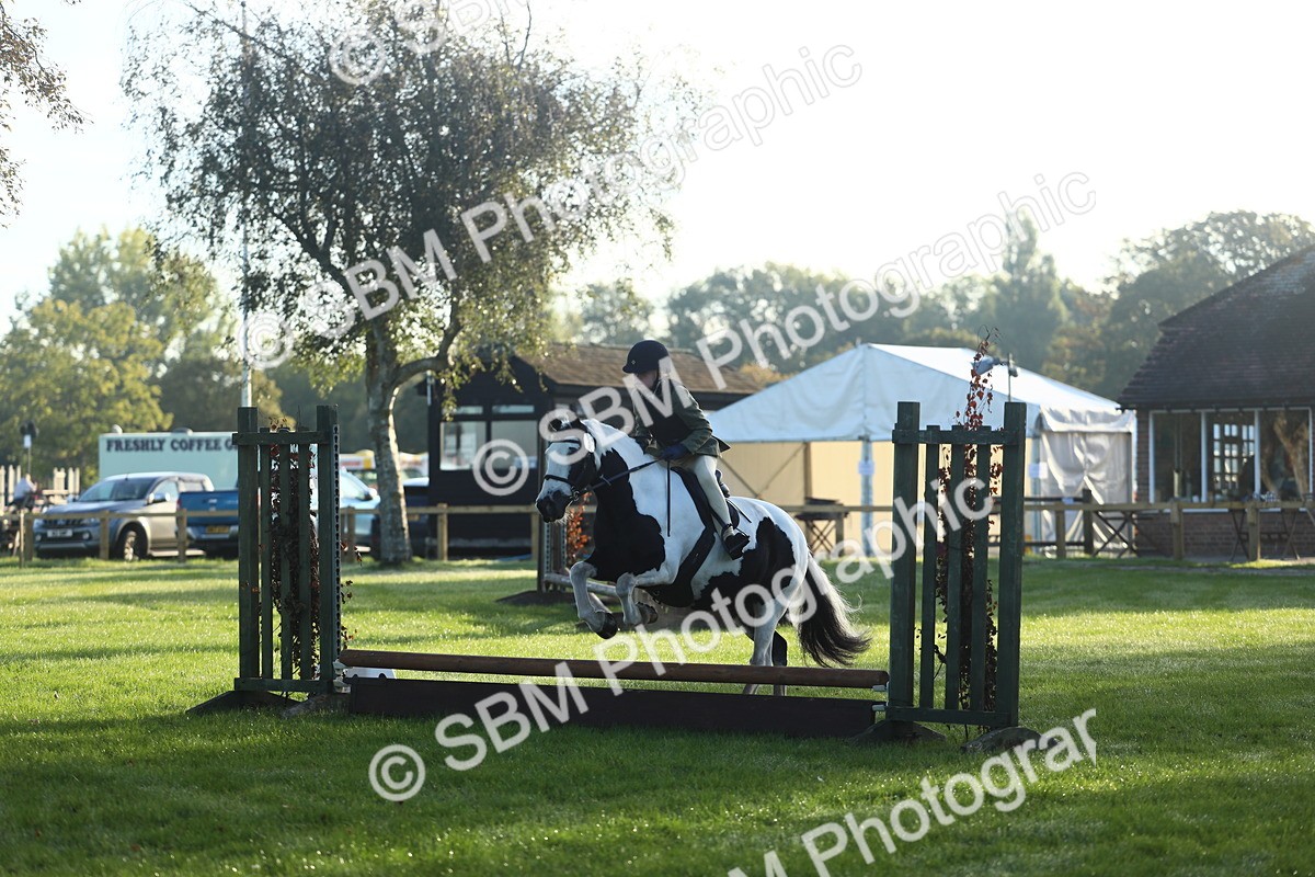 SBM_37148 - S29 - Novice & Newcomers Working Hunter Pony