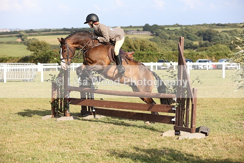 JPP_3235 - Class 21: Working Hunter 80cm