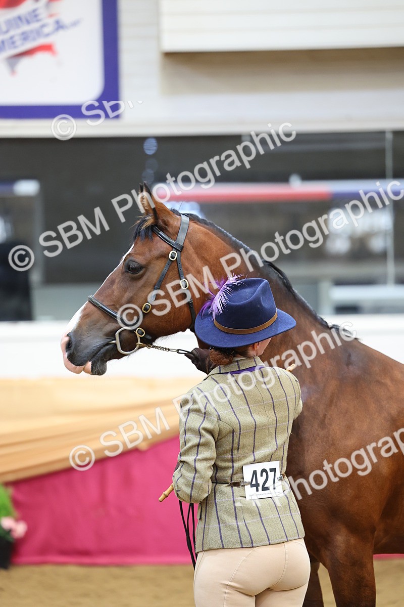 SBM_22877 - Class 903 - Supreme Final - IH Pre Vet